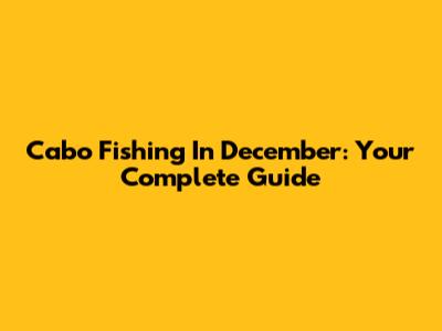 Cabo Fishing In December: Your Complete Guide