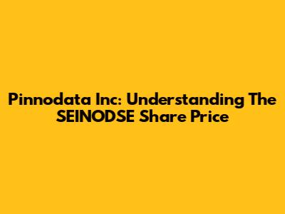 Pinnodata Inc: Understanding The SEINODSE Share Price